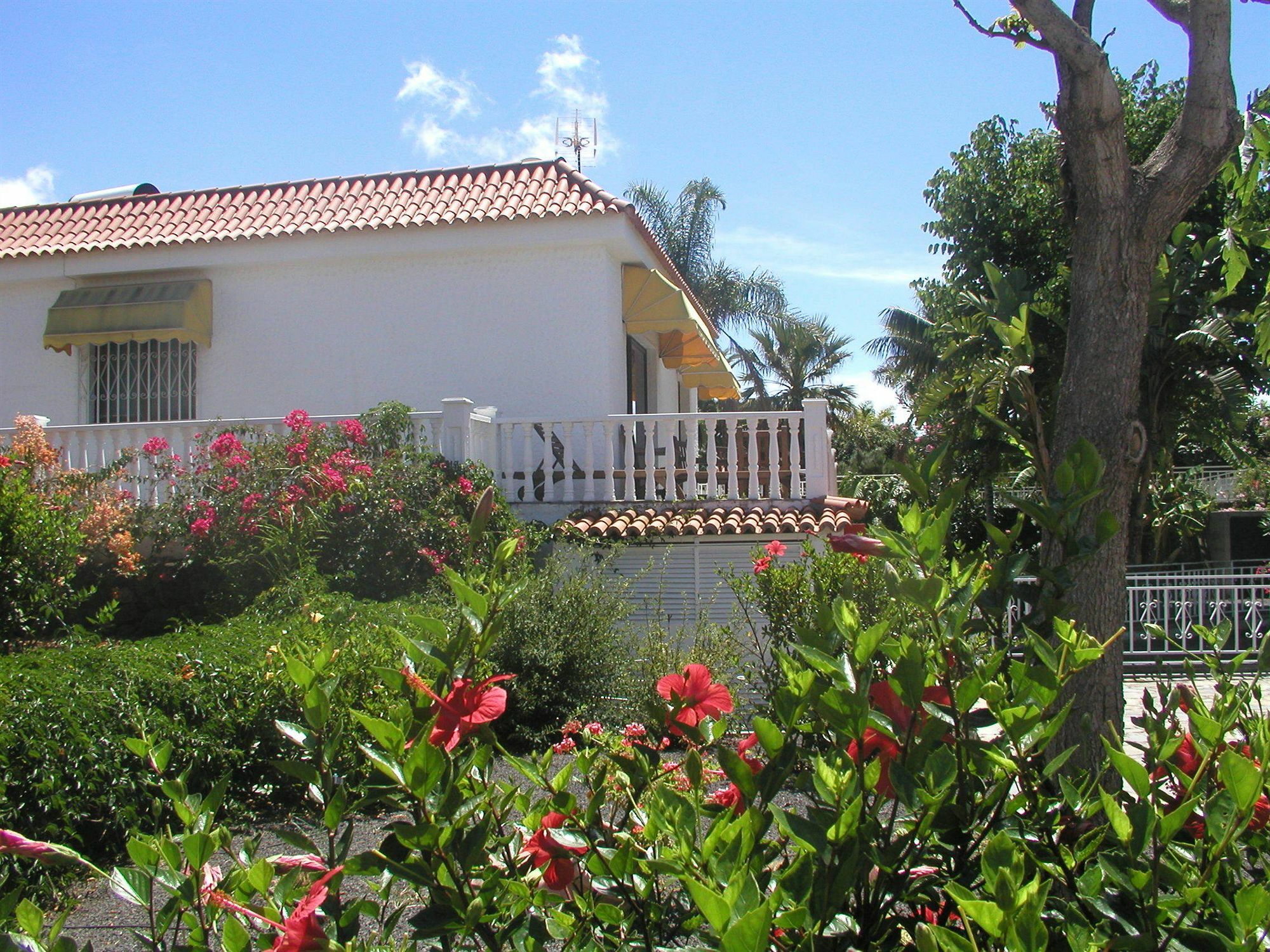 Residencial Las Norias Todoque Екстериор снимка